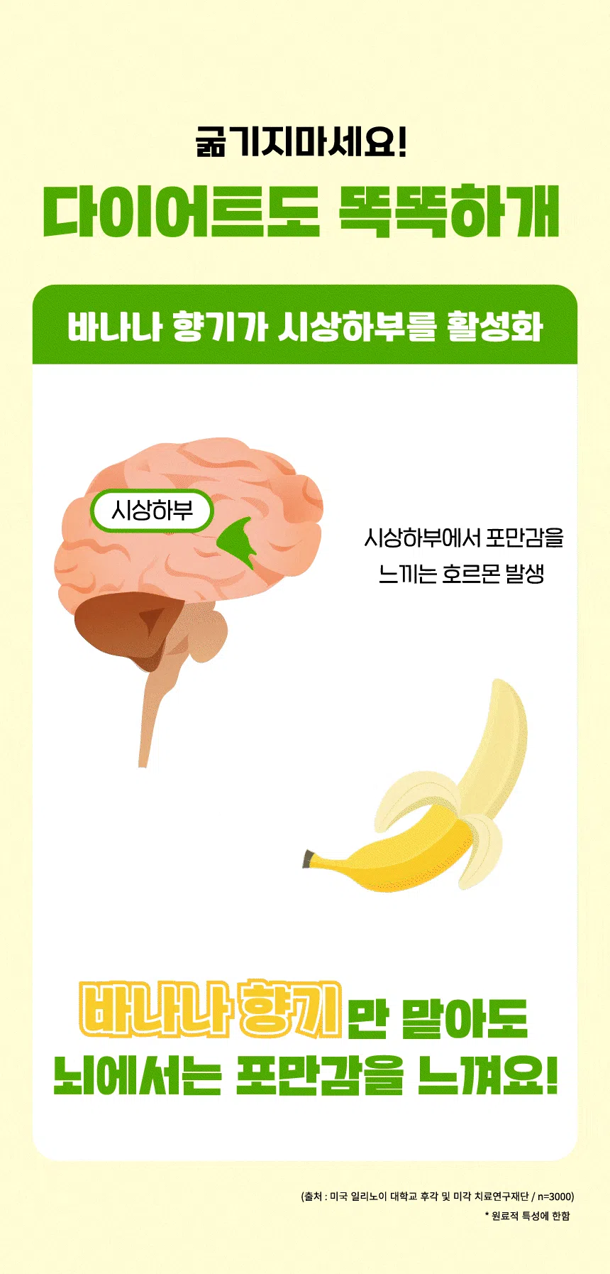 슈퍼포우 독 덴탈 바나나츄 L 12번째