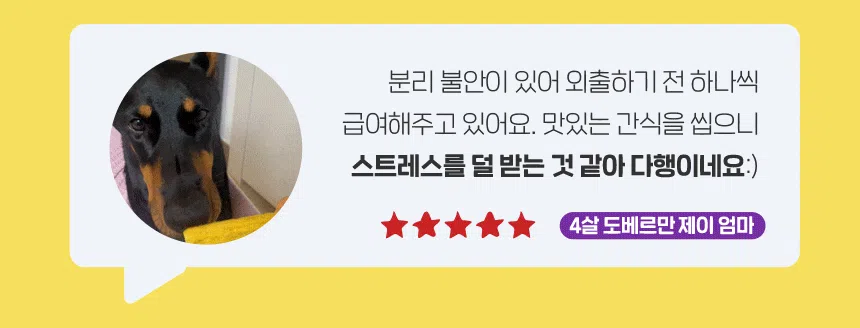 슈퍼포우 독 덴탈 바나나츄 L 3번째