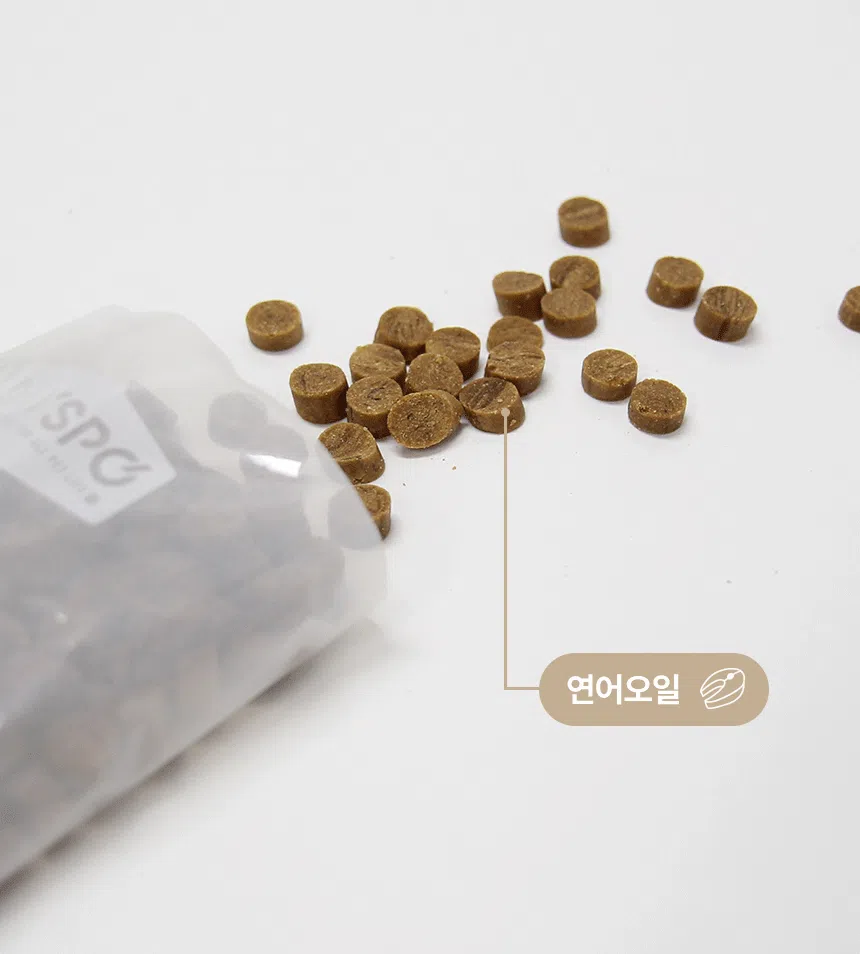 [무료배송] 데이스포 독 명품수제사료 과일식단 1kg 17번째