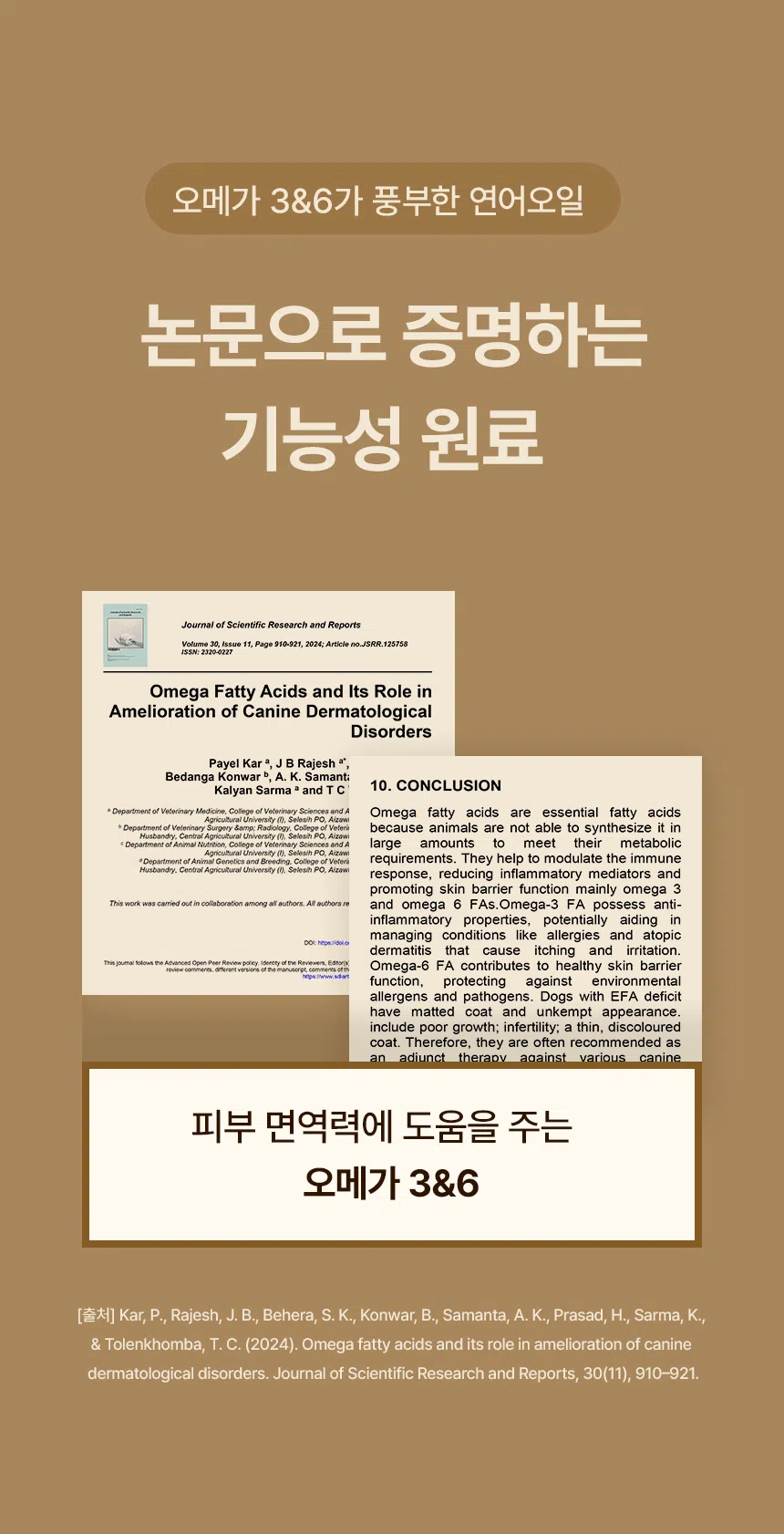 [무료배송] 데이스포 독 명품수제사료 자연식단 1kg 19번째