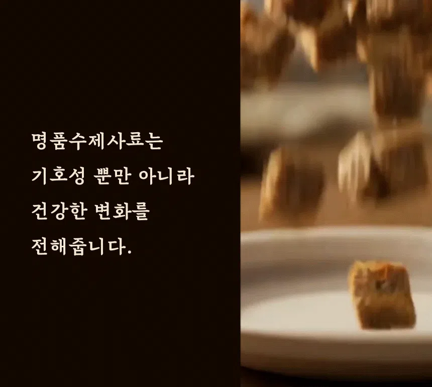 [무료배송] 데이스포 독 명품수제사료 바다식단 1kg 12번째