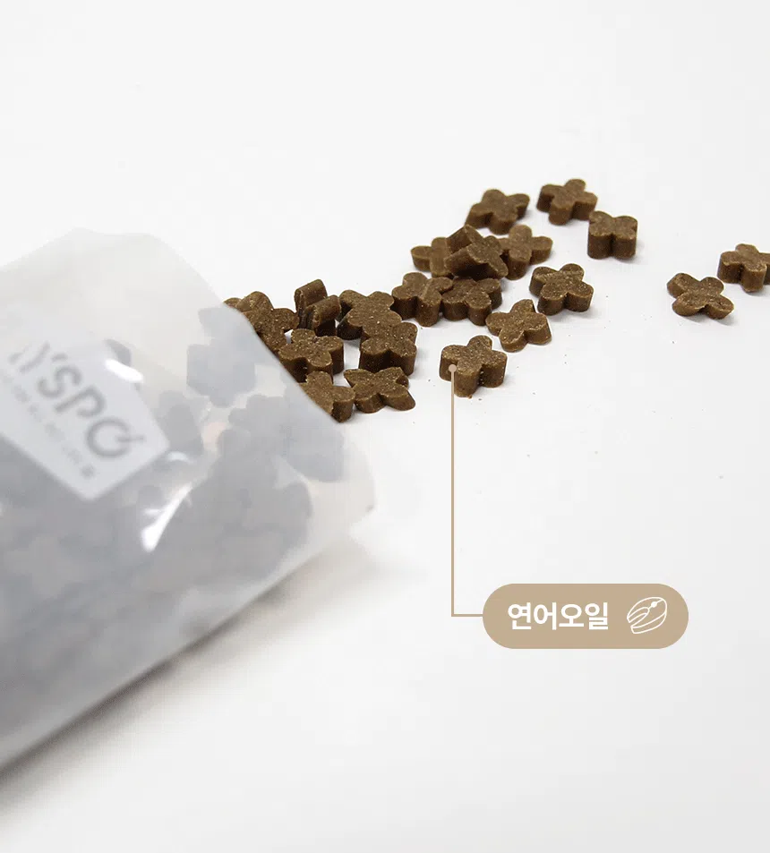 [무료배송] 데이스포 독 명품수제사료 자연식단 1kg 18번째