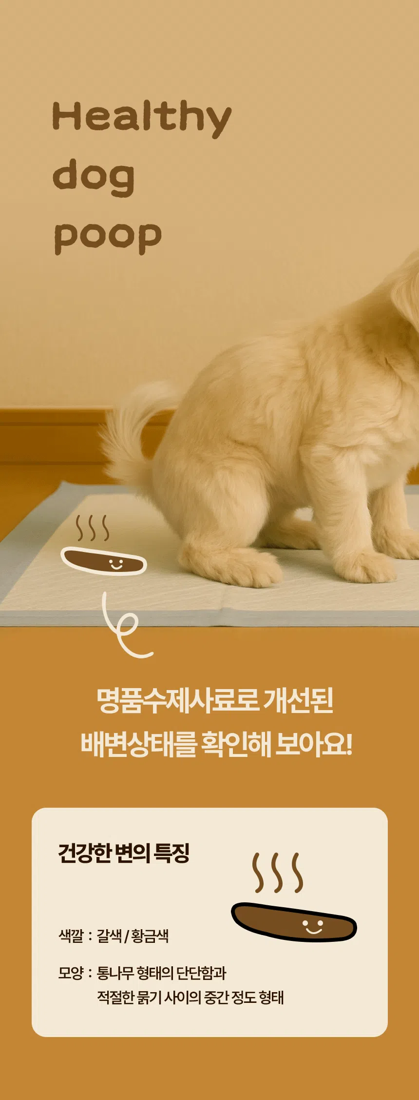 [무료배송] 데이스포 독 명품수제사료 바다식단 1kg 20번째