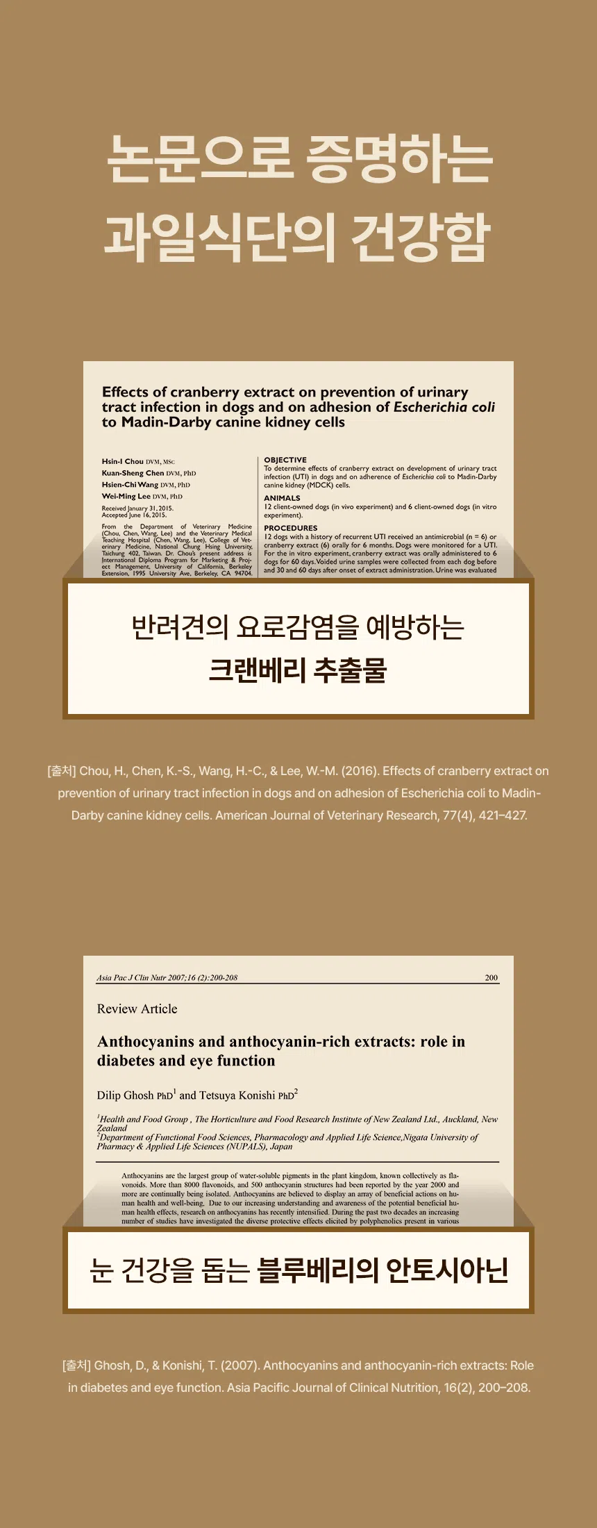 [무료배송] 데이스포 독 명품수제사료 과일식단 1kg 9번째