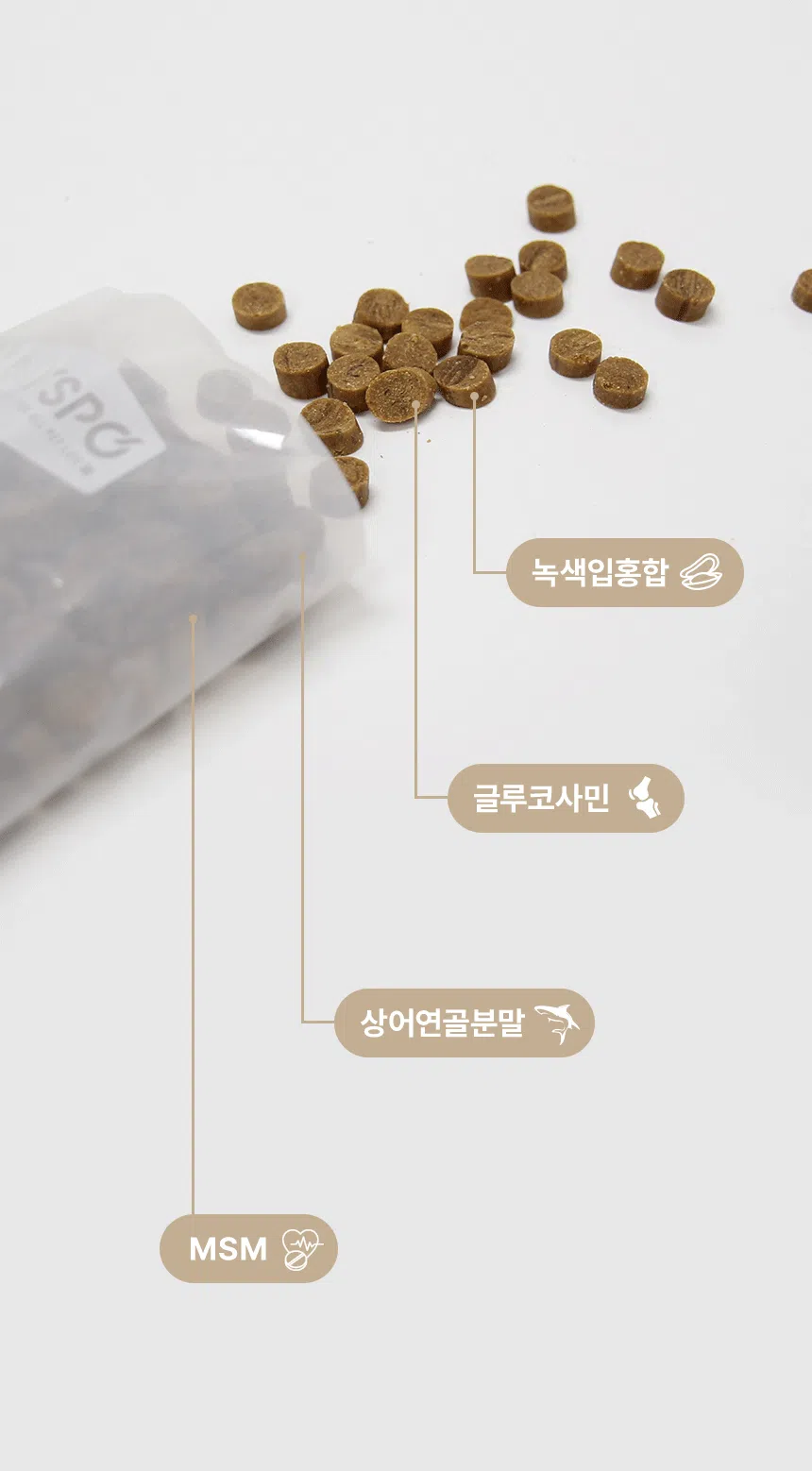 [무료배송] 데이스포 독 명품수제사료 과일식단 1kg 13번째