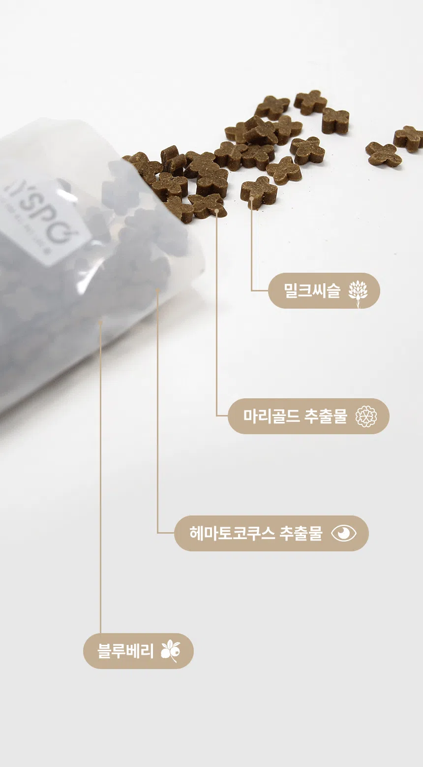[무료배송] 데이스포 독 명품수제사료 자연식단 1kg 14번째