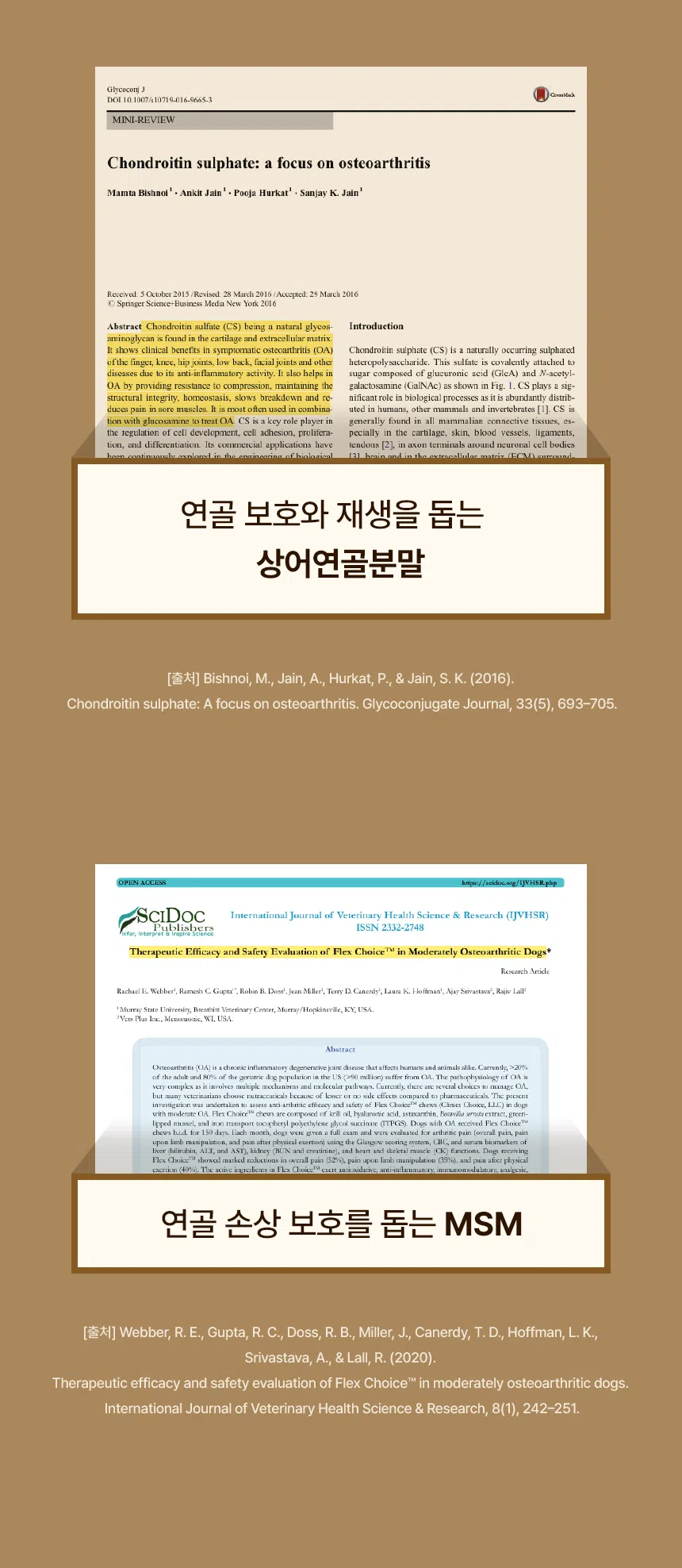 [무료배송] 데이스포 독 명품수제사료 과일식단 1kg 15번째