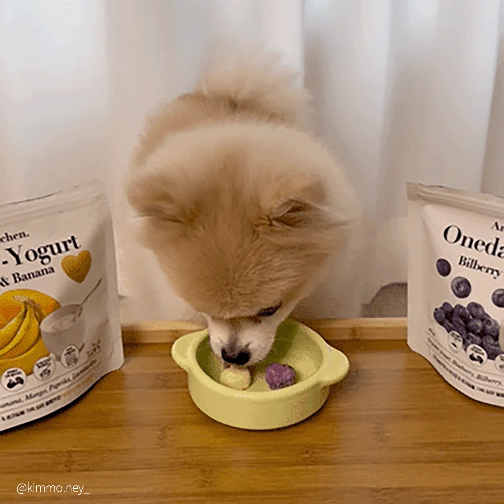 [신상특가] [무료배송] 알로키친 범산목장 유기농 생과일 요거트 4종 (딸기,블루베리,망고,키위) 4번째