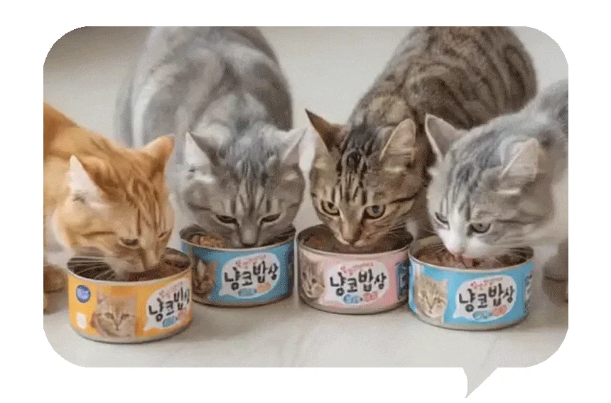 [무료배송] [12개] 벨버드 캣 냥코밥상 캔 4종 믹스 80g 4번째