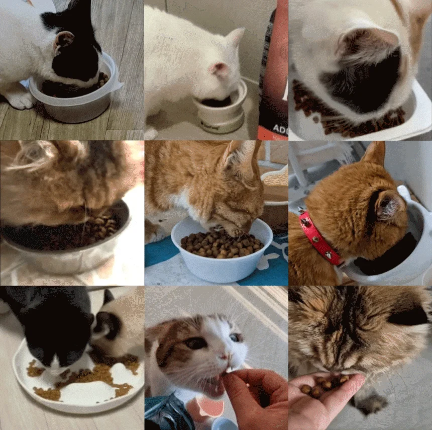 [아듀특가][무료배송] 리플렉스 플러스 캣 어덜트 치킨 15kg 3번째