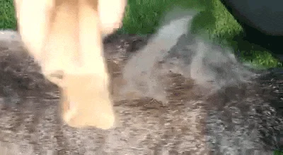 [NEW신상][무료배송] ZOORO 주로 그루밍 브러쉬 3종 7번째