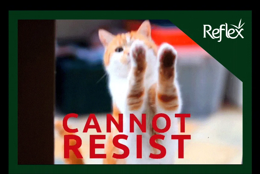 [무료배송] 리플렉스 플러스 캣 안티헤어볼 연어 1.5kg 25번째