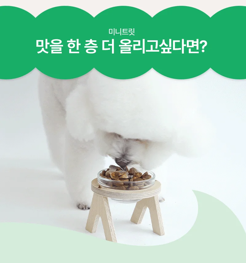 [NEW신상][무료배송] 바야 동결건조 미니 큐브 연어트릿 150g 15번째