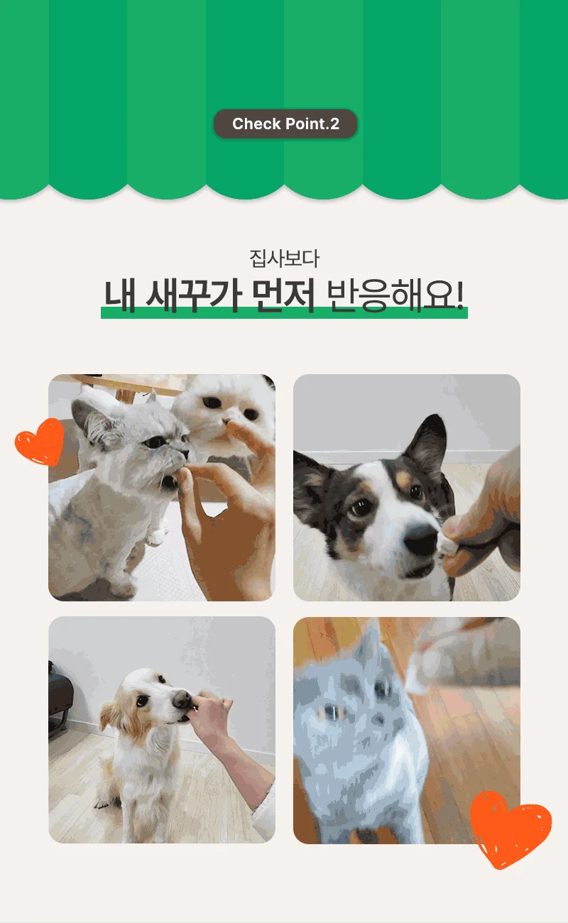 [NEW신상][무료배송] 바야 동결건조 당근 25g 7번째