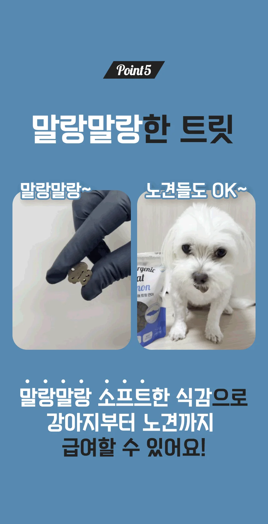 [NEW신상]펫생각 하루조이 가수분해 트릿 연어 250g 19번째