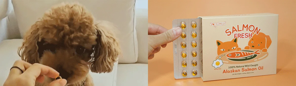 [NEW신상][체험팩] 스푼풀 자연산 알래스카 연어 프레쉬 오메가-3 220mg 3캡슐 6번째