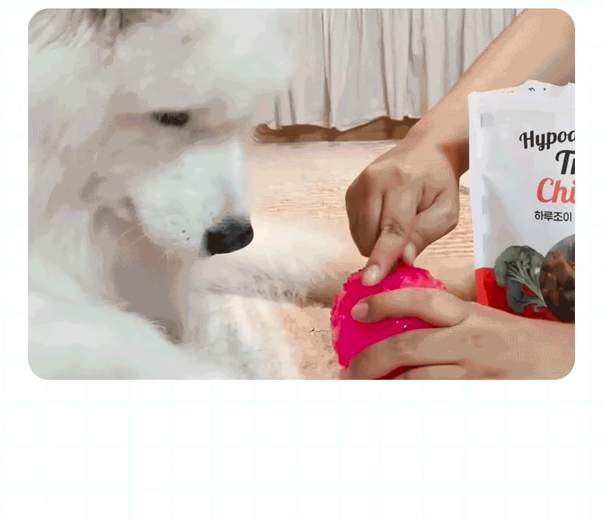 [NEW신상]펫생각 하루조이 가수분해 트릿 연어 250g 7번째