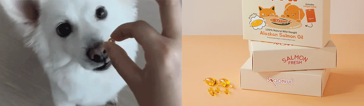 [NEW신상][체험팩] 스푼풀 자연산 알래스카 연어 프레쉬 오메가-3 220mg 3캡슐 8번째