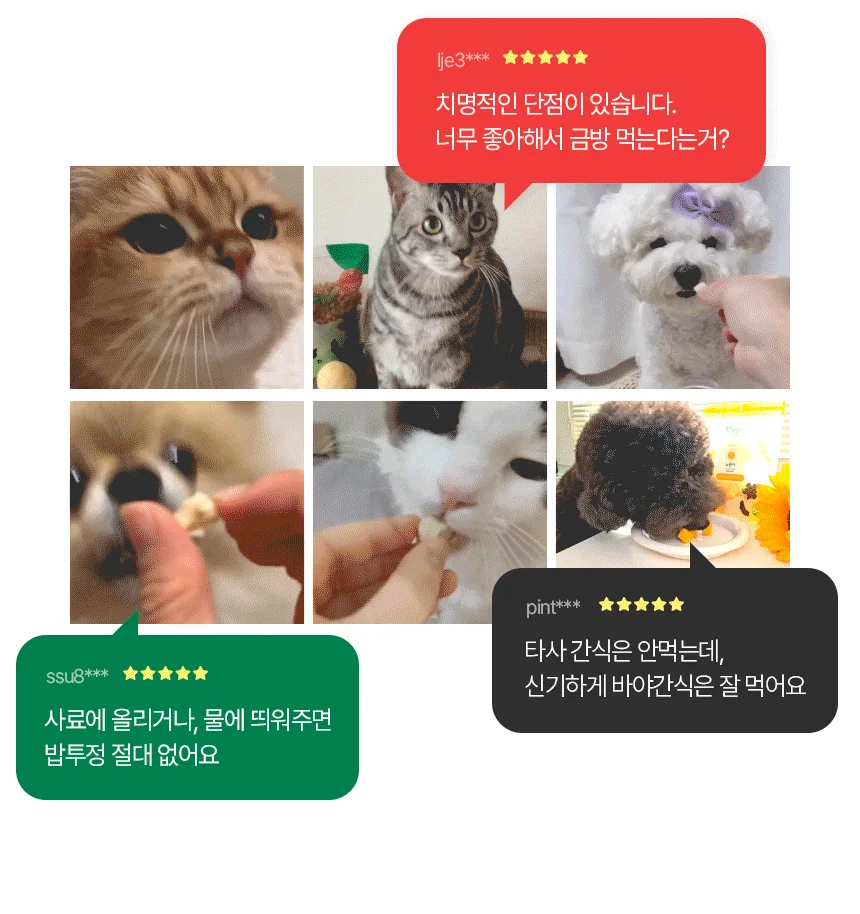 [무료배송] 바야 동결건조 열빙어트릿 100g 2번째