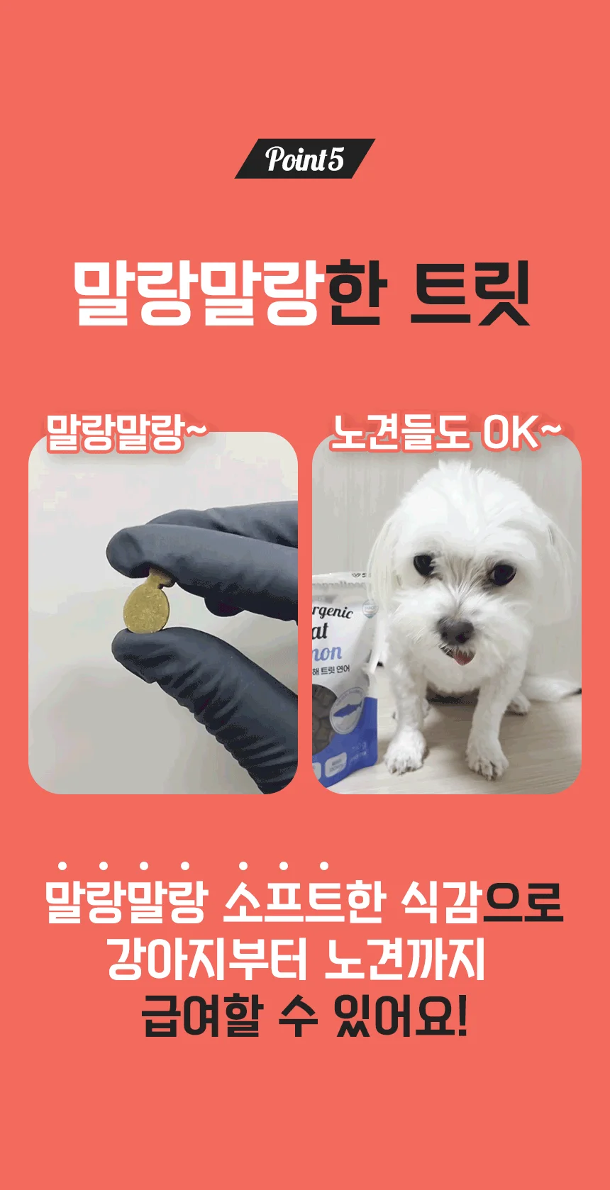 [NEW신상]펫생각 하루조이 가수분해 트릿 닭 250g 19번째