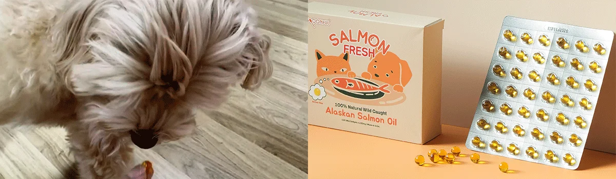 [NEW신상][체험팩] 스푼풀 자연산 알래스카 연어 프레쉬 오메가-3 220mg 3캡슐 4번째