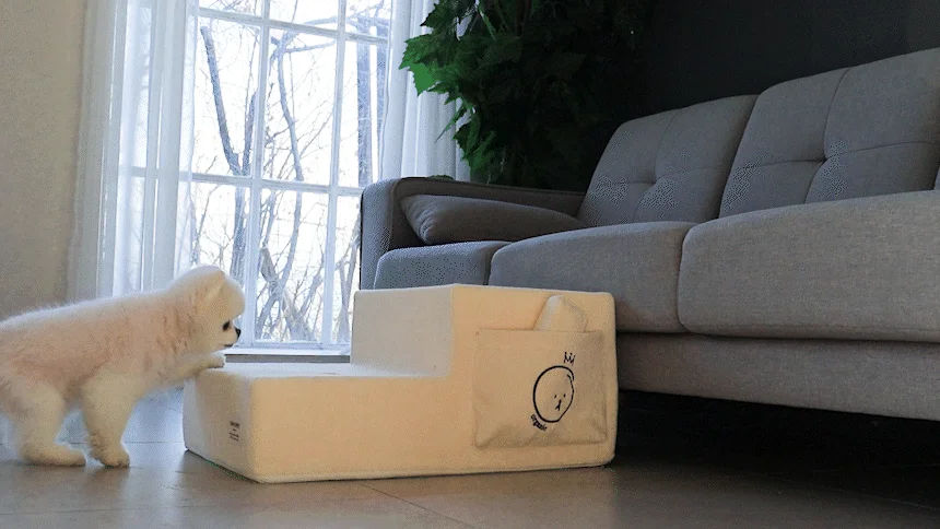 [무료배송] 초코펫하우스 독 계단 유기농 오가닉 스텝 9번째