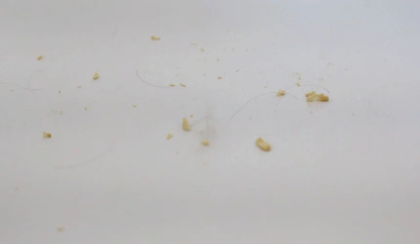 [NEW신상][무료배송] 초코펫하우스 독 논슬립 레더 매트 중형/대형 2color 48번째