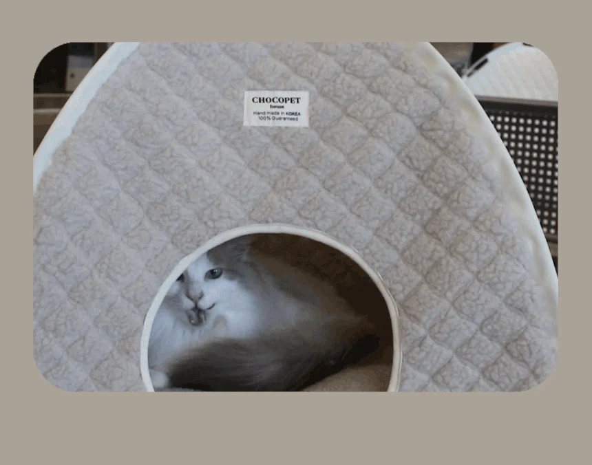 [무료배송] 초코펫하우스 고양이집 겨울 보온 온돌 숨숨집 4번째