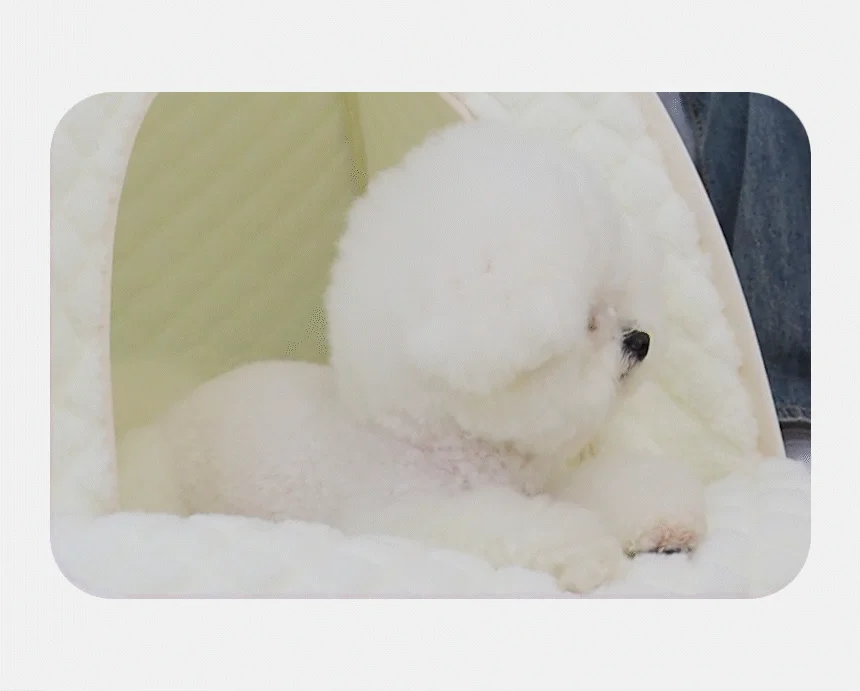 [무료배송] 초코펫하우스 겨울 보온 따뜻한 온돌의집 11번째