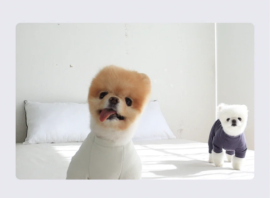 [무료배송] 초코펫하우스 강아지 보온 실내복 피치 기모 히트텍 2번째