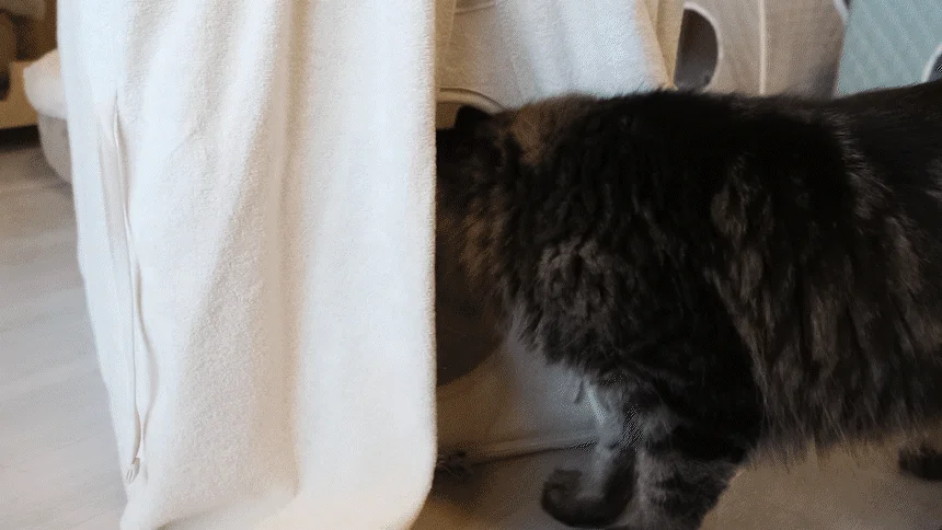 [무료배송] 초코펫하우스 캣 2단형 해먹 스크래쳐 오가닉 투룸 하우스 26번째