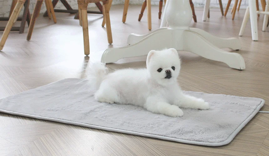 [무료배송] 초코펫하우스 온열 기능 밍크 전기 매트 2번째