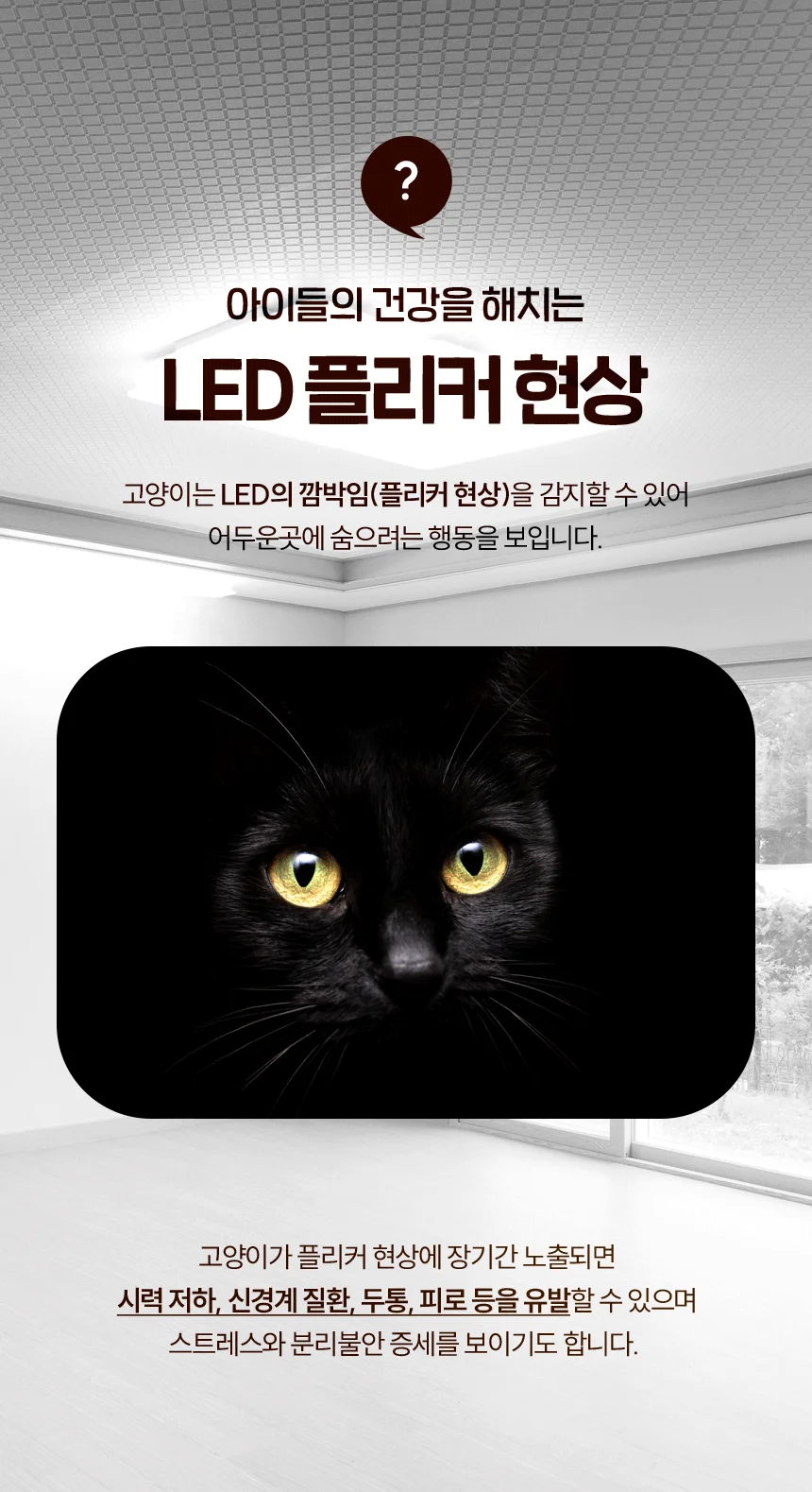 [무료배송] 초코펫하우스 캣 2단형 해먹 스크래쳐 오가닉 투룸 하우스 6번째