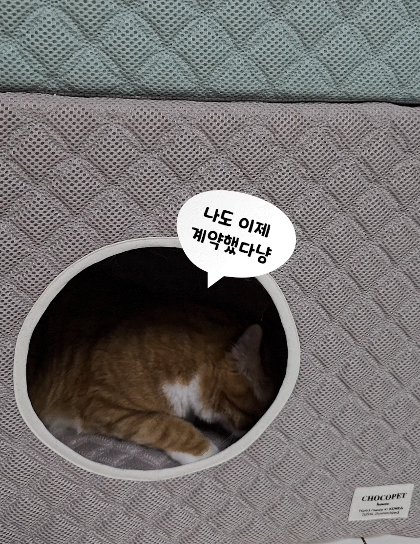 [무료배송] 초코펫하우스 고양이 숨숨집 반영구 스크래쳐 다기능 캣하우스 2.0 9번째