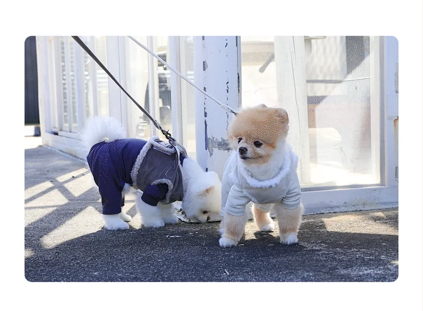 [무료배송] 초코펫하우스 강아지 보온 실내복 피치 기모 히트텍 12번째