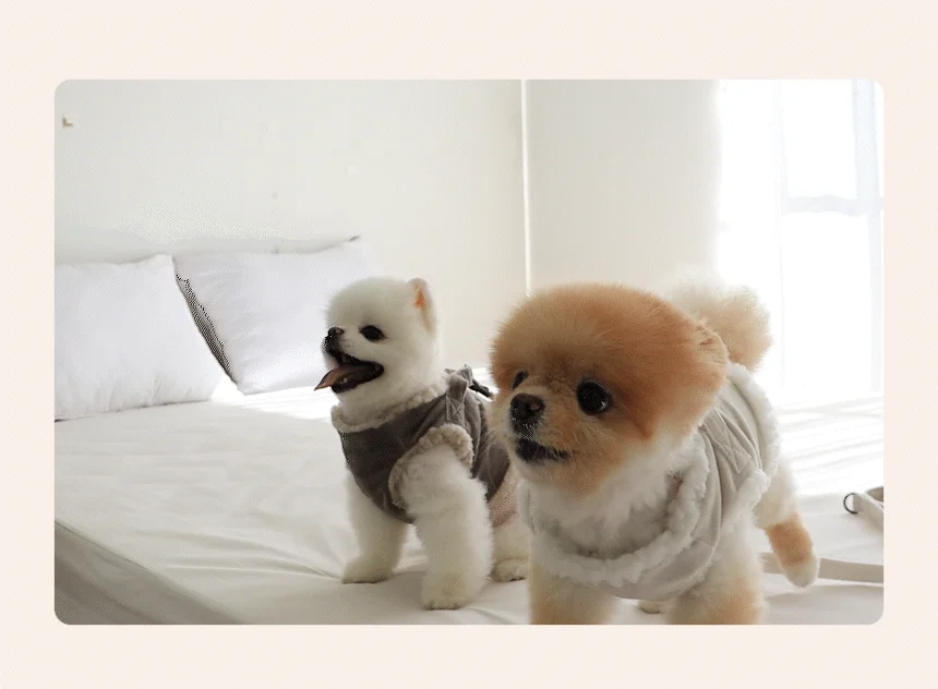 [무료배송] 초코펫하우스 산책왕 보온 무스탕 하네스 2번째