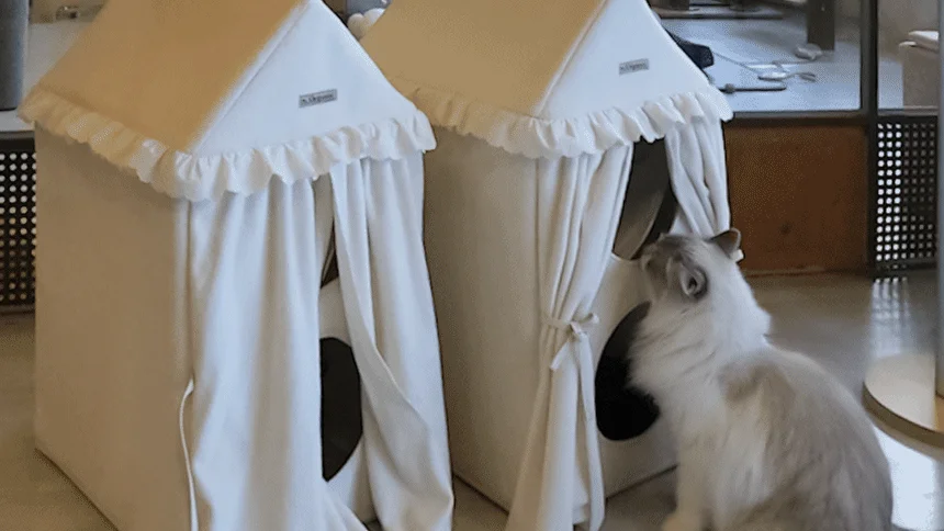 [무료배송] 초코펫하우스 캣 2단형 해먹 스크래쳐 오가닉 투룸 하우스 19번째