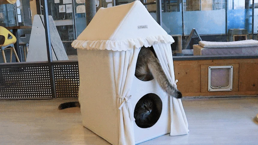 [무료배송] 초코펫하우스 캣 2단형 해먹 스크래쳐 오가닉 투룸 하우스 2번째