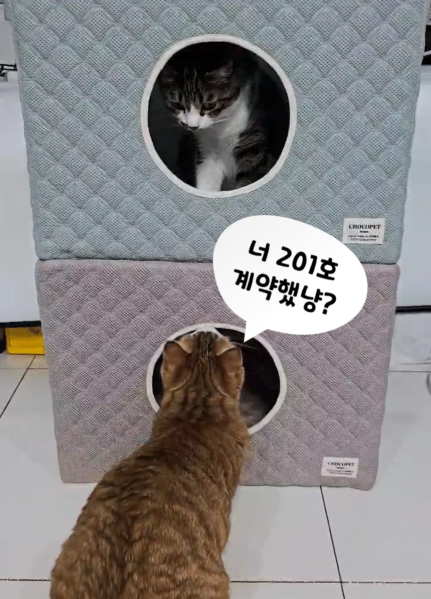 [무료배송] 초코펫하우스 고양이 숨숨집 반영구 스크래쳐 다기능 캣하우스 2.0 7번째