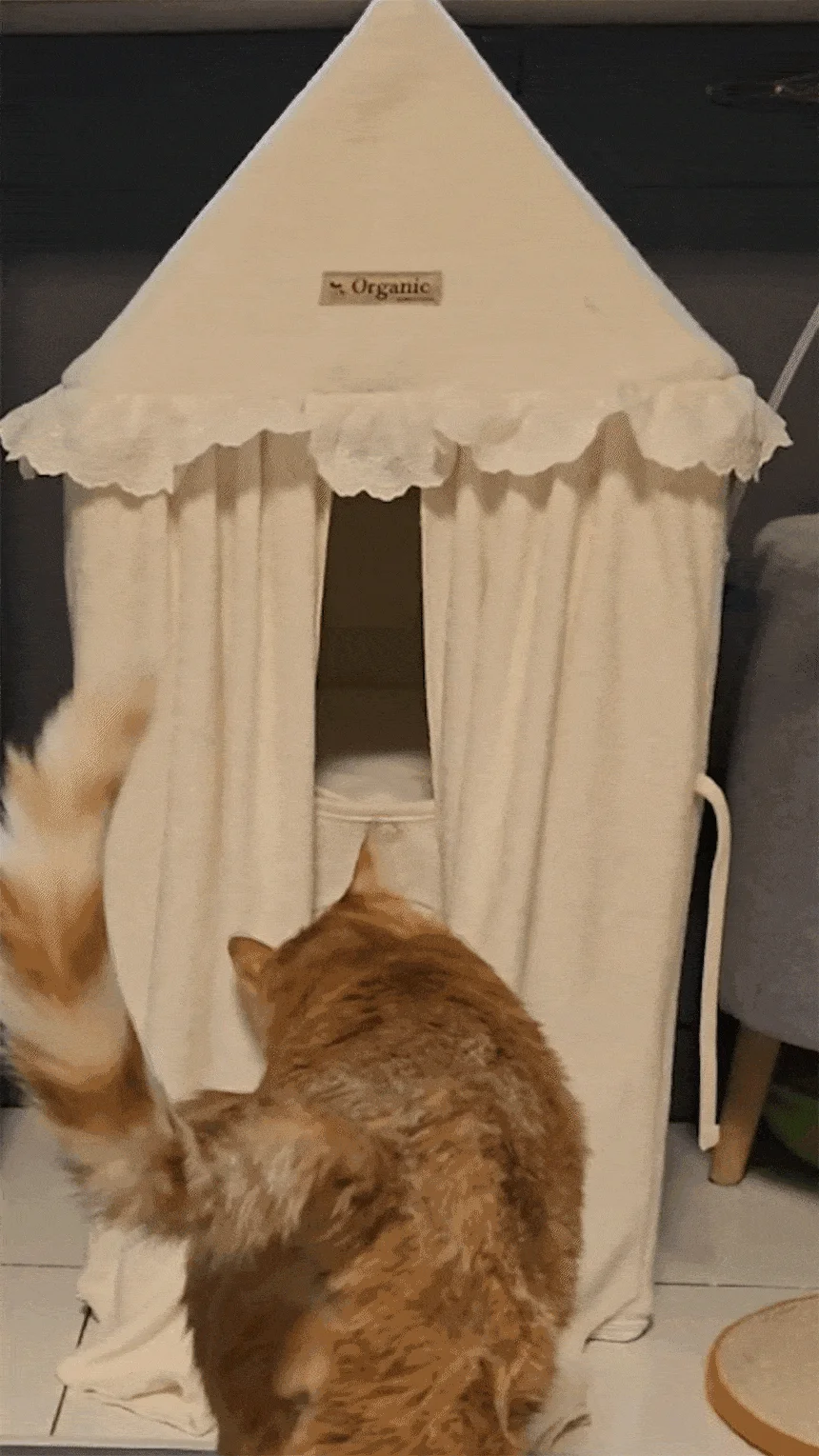 [무료배송] 초코펫하우스 캣 2단형 해먹 스크래쳐 오가닉 투룸 하우스 31번째