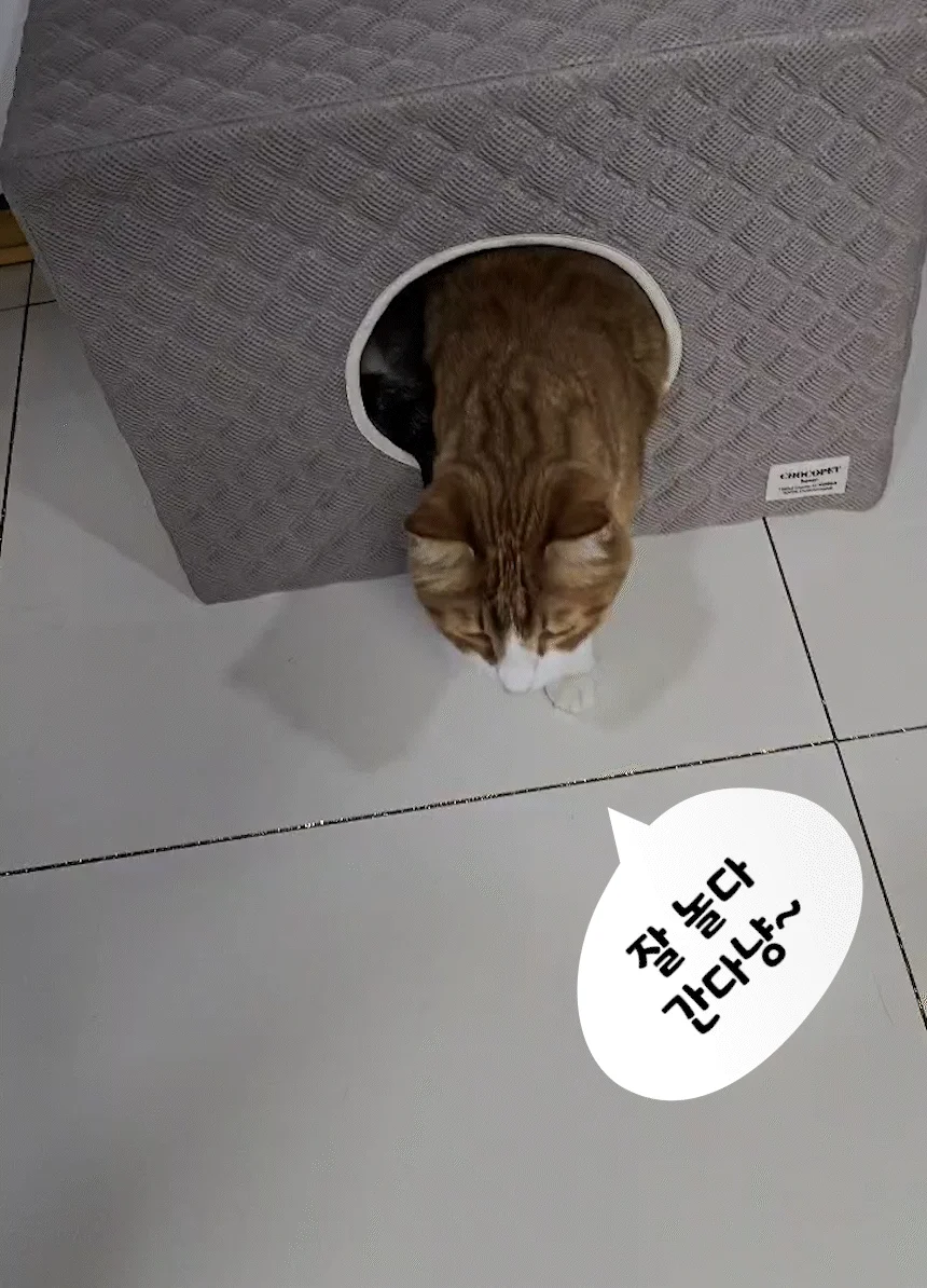 [무료배송] 초코펫하우스 고양이 숨숨집 반영구 스크래쳐 다기능 캣하우스 2.0 11번째