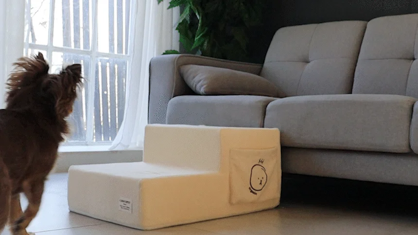 [무료배송] 초코펫하우스 독 계단 유기농 오가닉 스텝 7번째