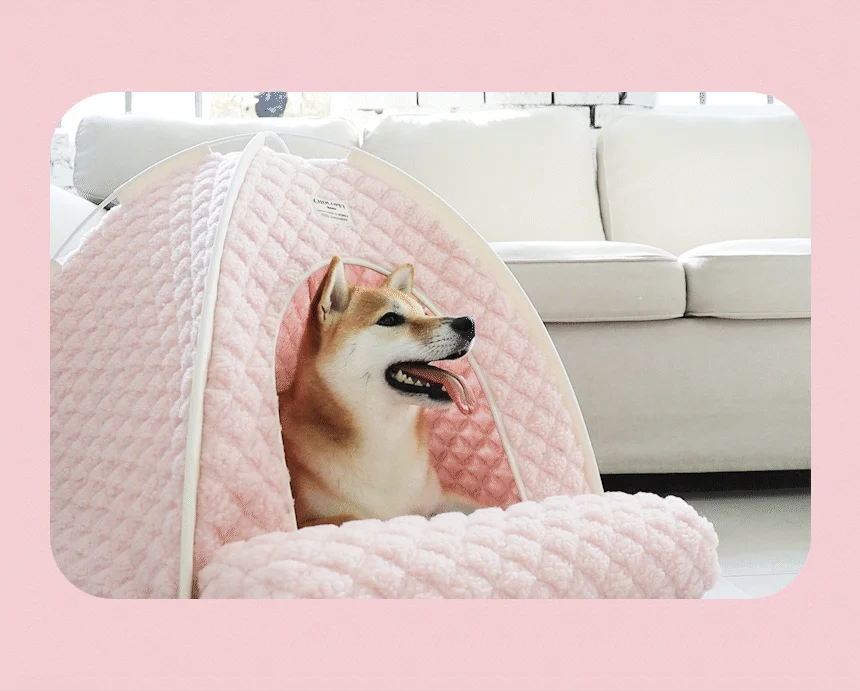 [무료배송] 초코펫하우스 겨울 보온 따뜻한 온돌의집 9번째