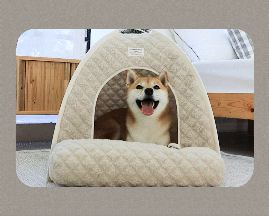 [무료배송] 초코펫하우스 겨울 보온 따뜻한 온돌의집 13번째