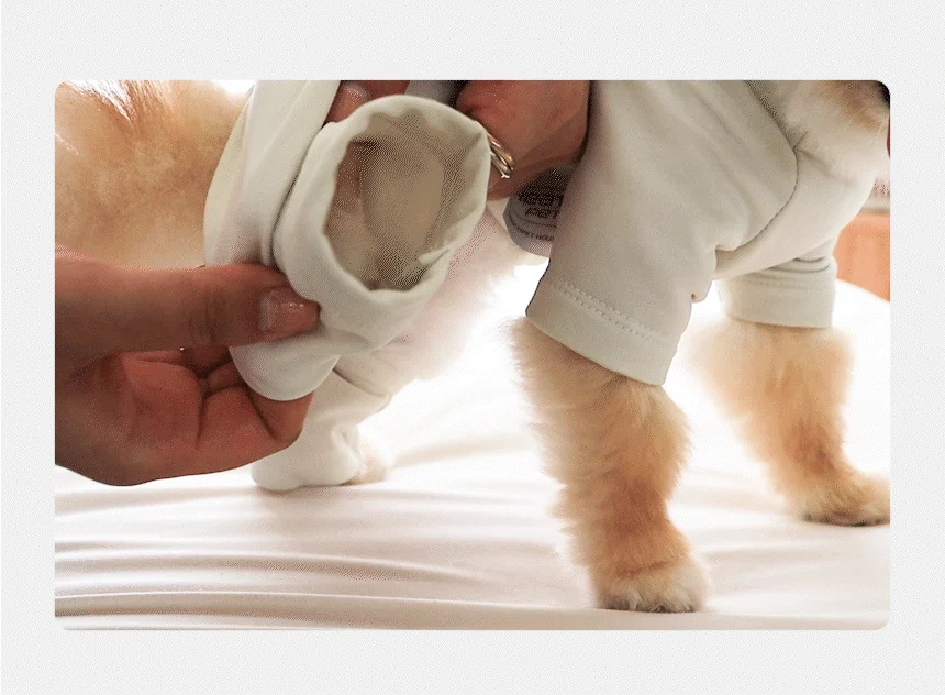 [무료배송] 초코펫하우스 강아지 보온 실내복 피치 기모 히트텍 14번째