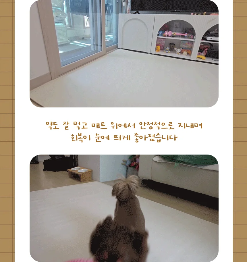 [NEW신상][무료배송] 초코펫하우스 독 논슬립 레더 매트 중형/대형 2color 6번째