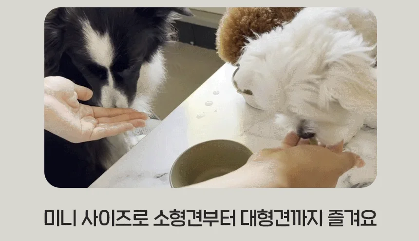 [NEW신상][무료배송] 슈퍼포우 굿보이 트릿 산양유 200g 11번째