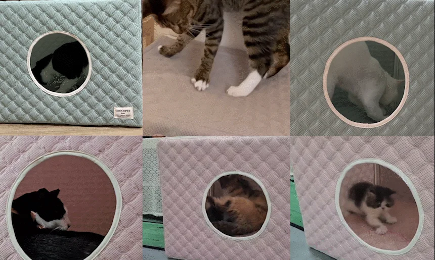 [무료배송] 초코펫하우스 고양이 숨숨집 반영구 스크래쳐 다기능 캣하우스 2.0 3번째