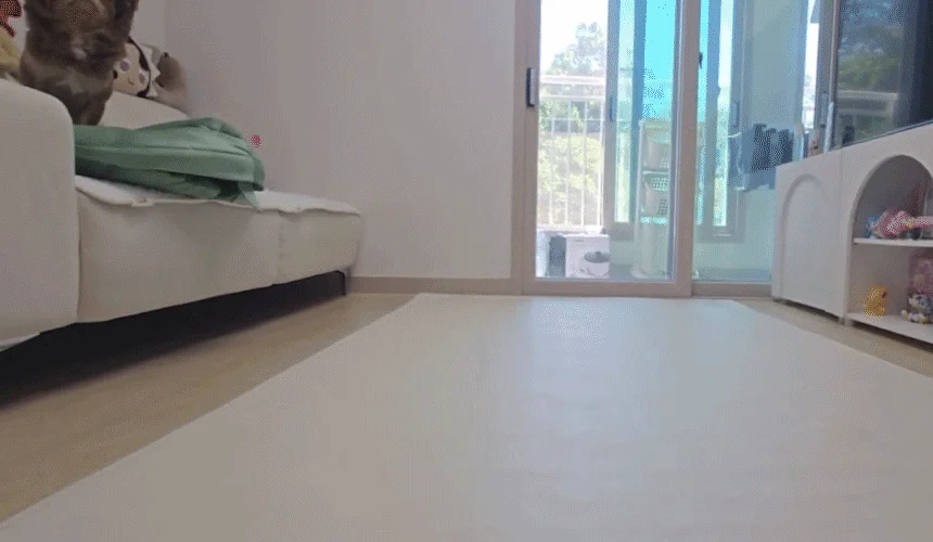 [NEW신상][무료배송] 초코펫하우스 독 논슬립 레더 매트 중형/대형 2color 38번째