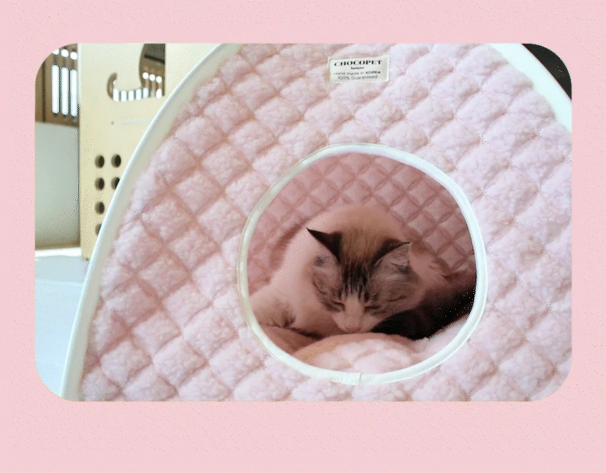 [무료배송] 초코펫하우스 고양이집 겨울 보온 온돌 숨숨집 10번째